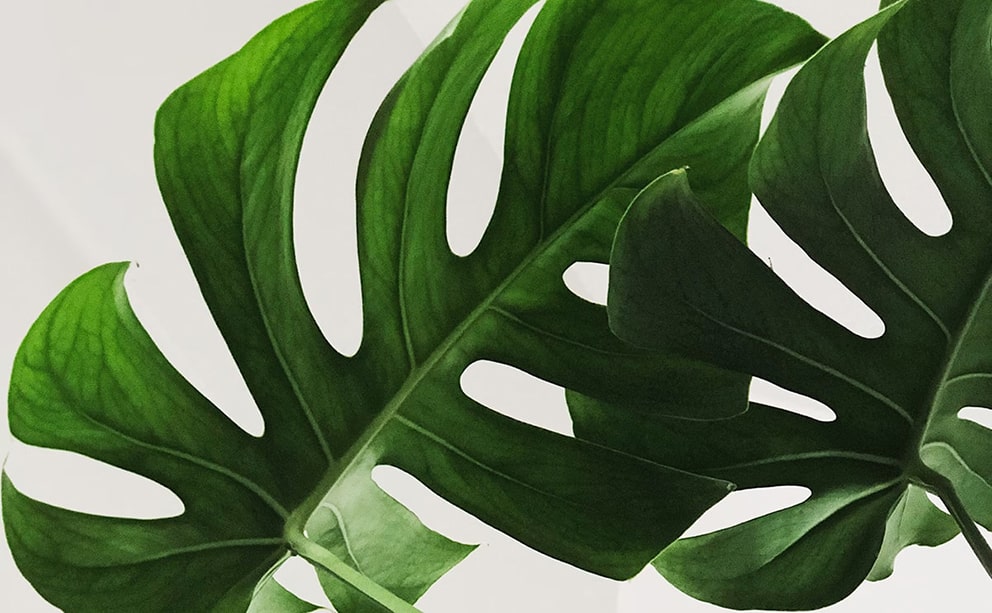 10 Essential Tools Every Graphic Designer Should Master